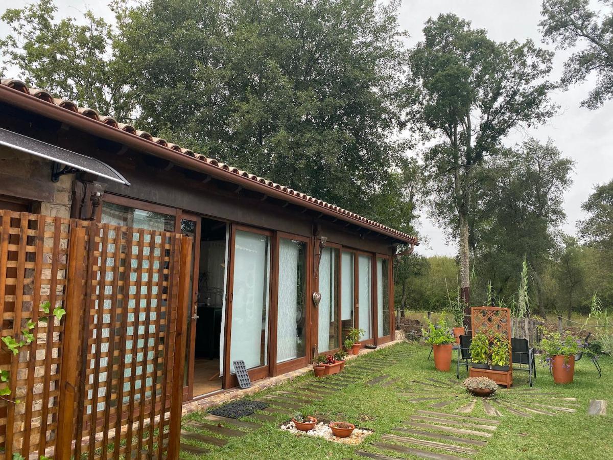 Apartamento The Old Watermill Retreat - O Retiro Da Azenha Velha Vila Nova de Poiares Exterior foto