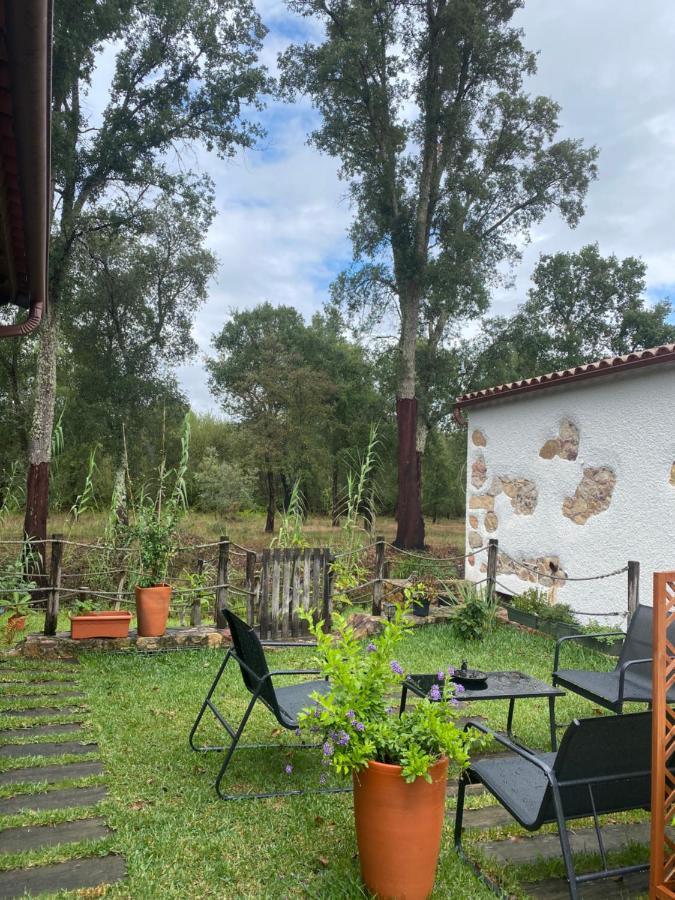Apartamento The Old Watermill Retreat - O Retiro Da Azenha Velha Vila Nova de Poiares Exterior foto
